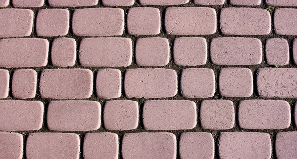 Sidewalk tile — Stock Photo, Image