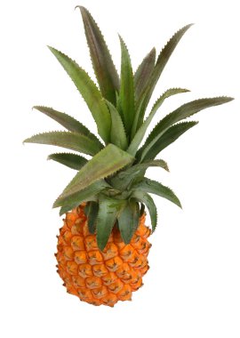 Ananas.