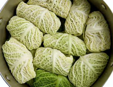 Stuffed cabbage clipart