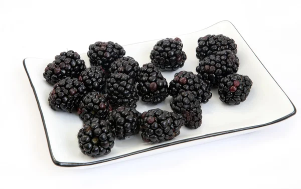 BlackBerry na talíři — Stock fotografie