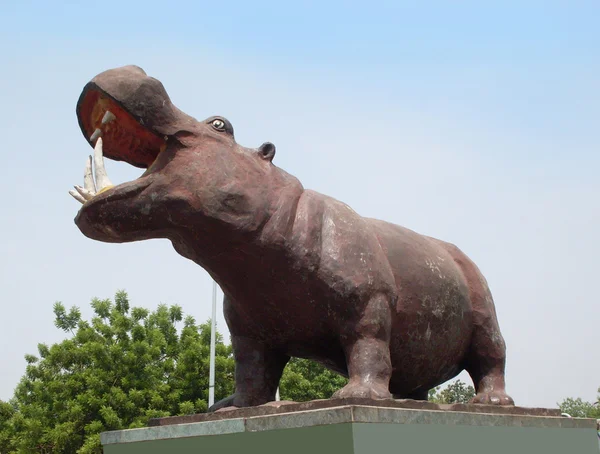 stock image Hippopotamus