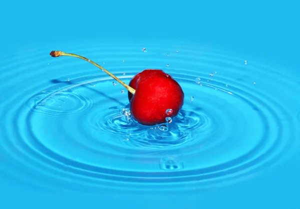 Cereja cai na água — Fotografia de Stock