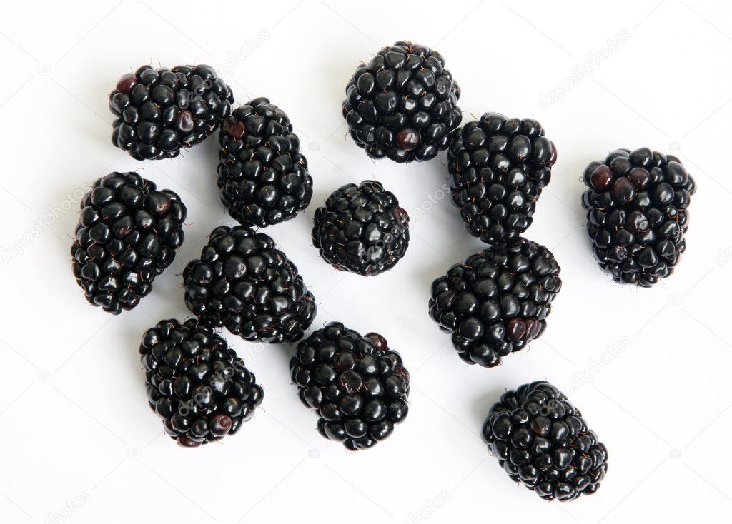 Blackberry on a white background