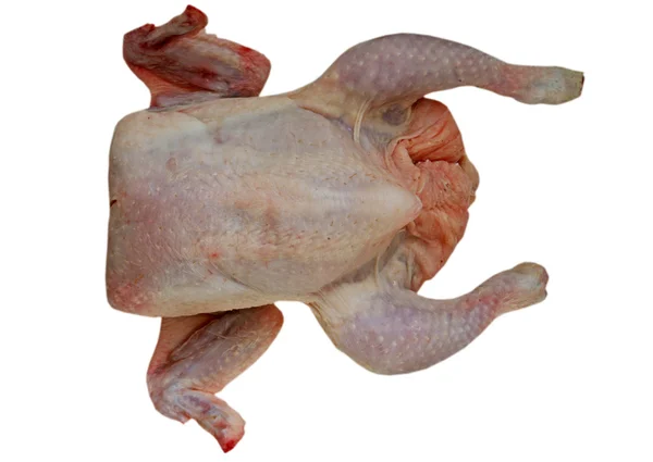 Stock image Raw Chicken