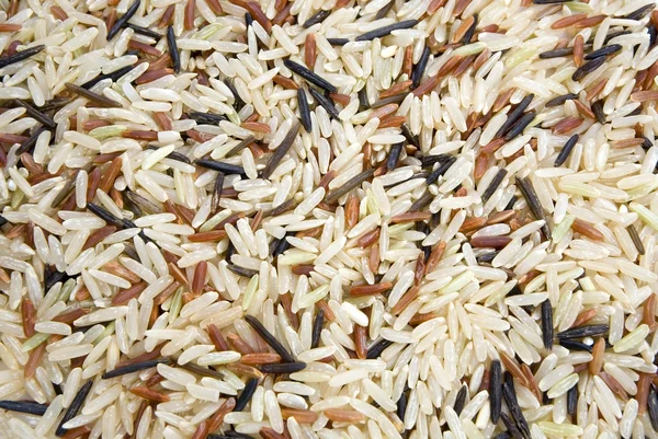 Lång ris blandat — Stockfoto