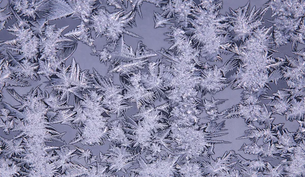 Frost patterns — Stock Photo, Image