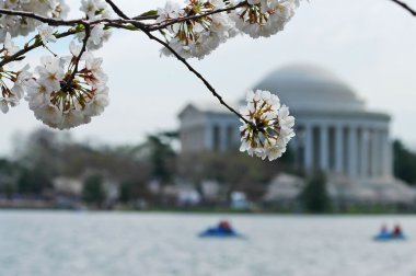 Jefferson Memorial