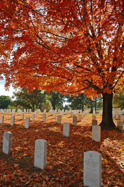 Arlington Cemetery clipart