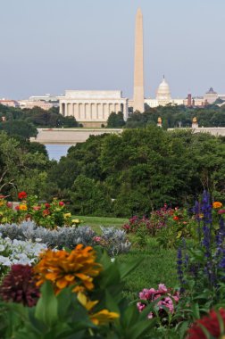 Washington DC Skyline