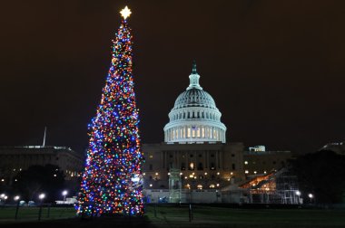 U.S. Capitol Building clipart