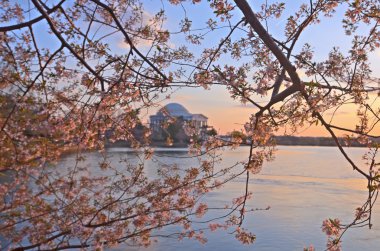 Jefferson Memorial