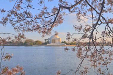 Jefferson Memorial