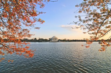 Jefferson Memorial