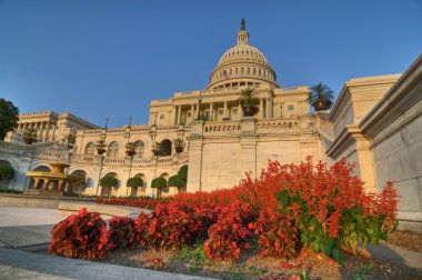 U.S. Capitol Building HDR clipart