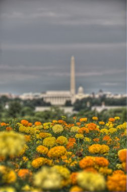 Washington Dc manzarası Hdr