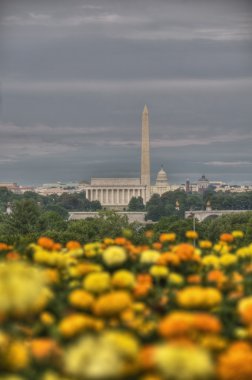 Washington Dc manzarası Hdr