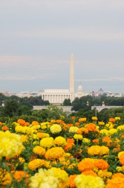 Washington DC Skyline