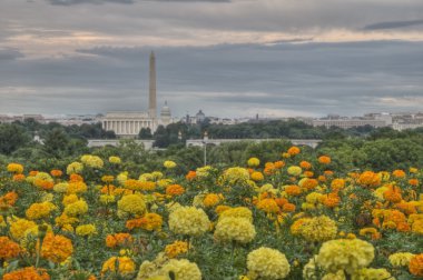 Washington DC Skyline HDR clipart