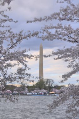 Washington Anıtı