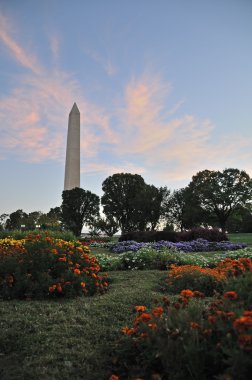 Washington Anıtı