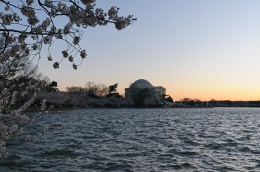 Jefferson Memorial