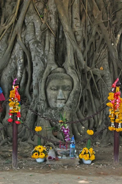 Ayutthaya, Ταϊλάνδη — Φωτογραφία Αρχείου