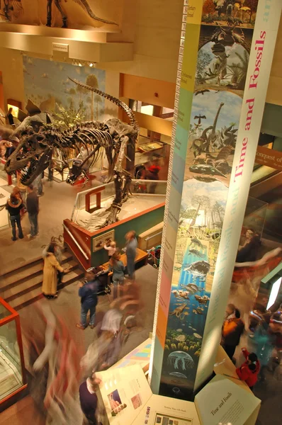 Museu de História Natural — Fotografia de Stock
