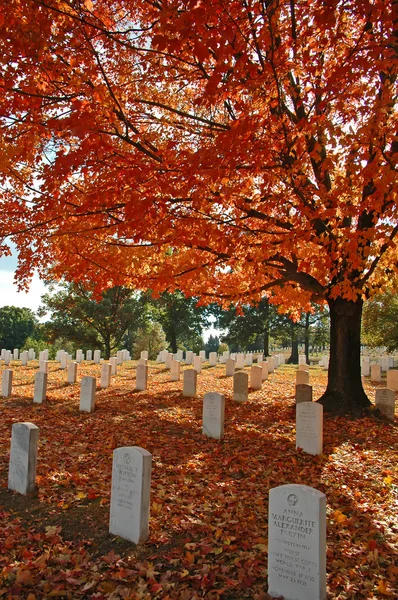 Cimitero di Arlington — Foto Stock