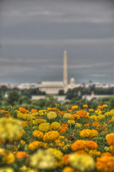 Washington DC Skyline HDR — Stock Photo, Image