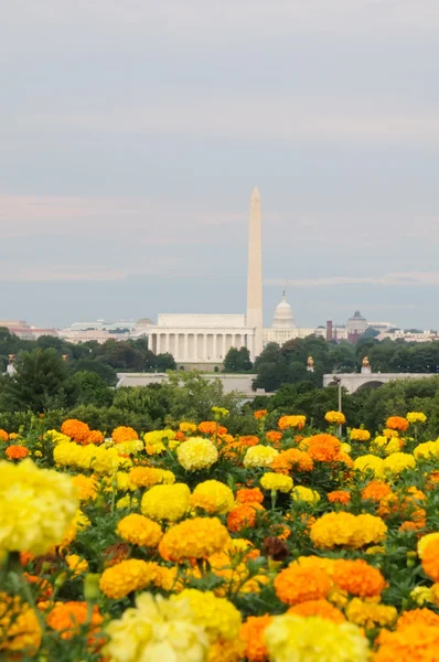 Washington DC Skyline — Foto Stock