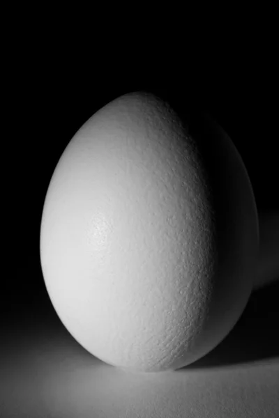 stock image Chicken egg