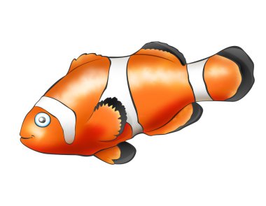 Fish - Clown clipart