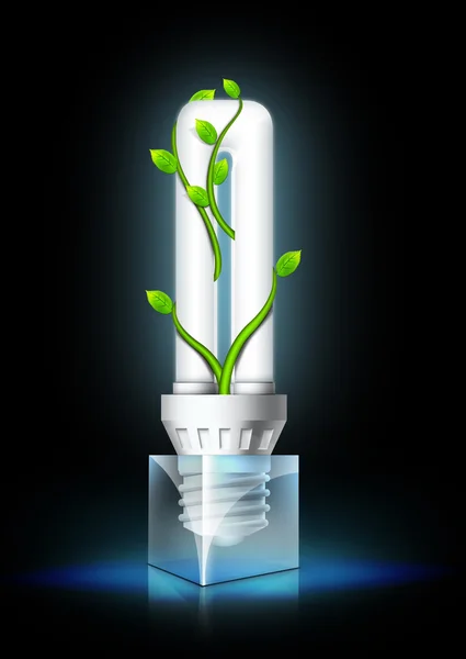 Лампочка з рослиною — стокове фото