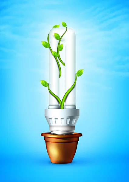 Lampadina luminosa con pianta — Foto Stock