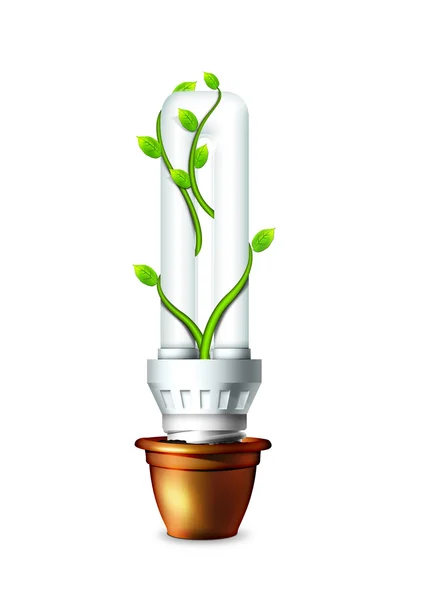Lâmpada luminosa com planta — Fotografia de Stock
