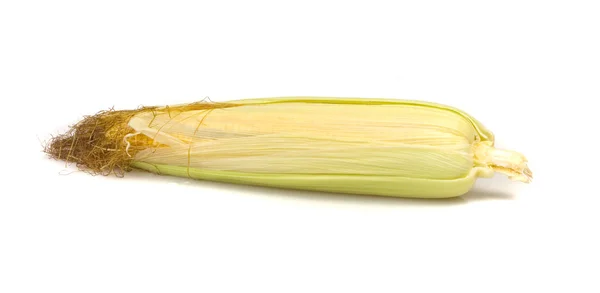 stock image Fresh Sweetcorn