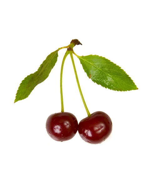Isolated red cherries with leaves — Stock Photo, Image