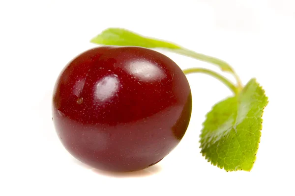 Isolated red cherry with leaves — Stock Photo, Image