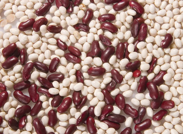 赤と白の豆 — ストック写真