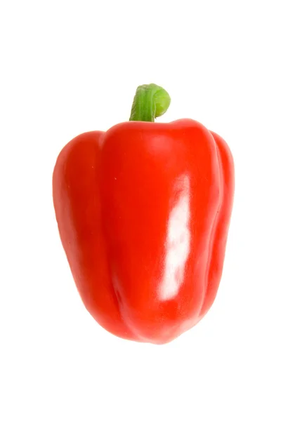 Rijpe paprika — Stockfoto