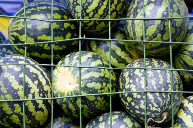 arka planı yeşil watermelones