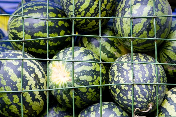 Stock image Background of green watermelones