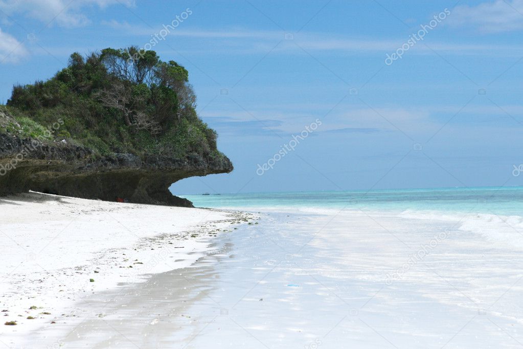Tropical zanzibar beach