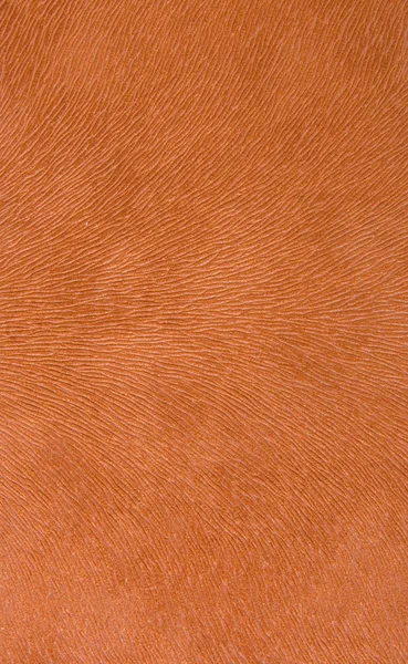Orange texturerat papper — Stockfoto