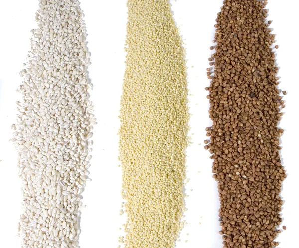Rzędów nasion — Zdjęcie stockowe
