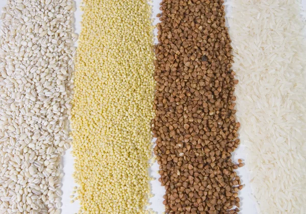 Rzędów nasion — Zdjęcie stockowe