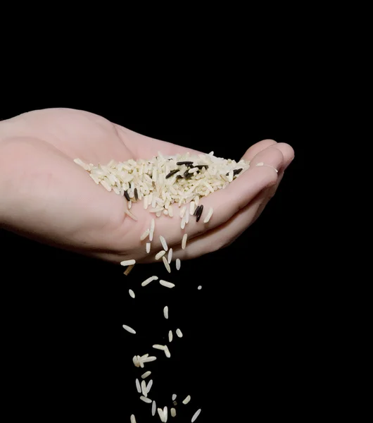 Ρύζι που τρέχει από το χέρι — Φωτογραφία Αρχείου