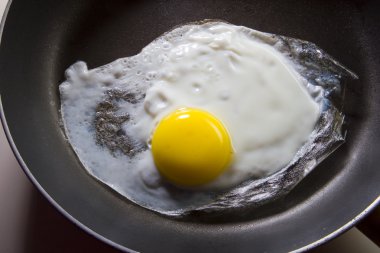 Fried egg clipart