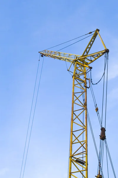 stock image Yellow crane