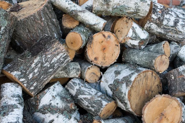 Berk brandhout — Stockfoto